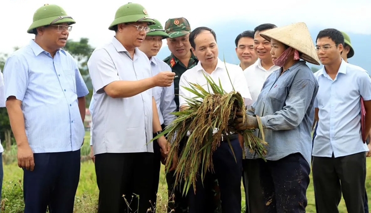 gan 2.000 nha dan o phu tho bi hu hong, ngap nang do bao so 10 hinh anh 1