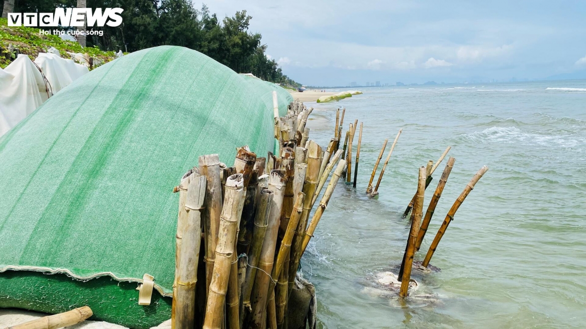 song nuot duong be tong, ngoam bat goc phi lao, cong pha bo bien hoi an hinh anh 7