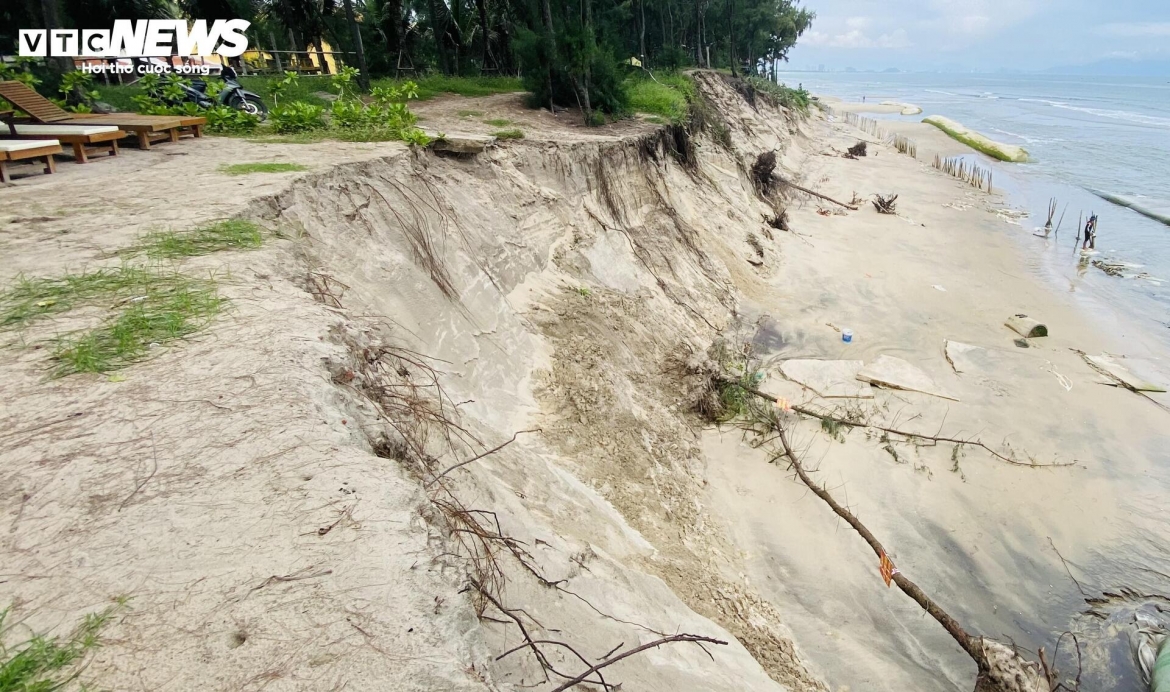 song nuot duong be tong, ngoam bat goc phi lao, cong pha bo bien hoi an hinh anh 8