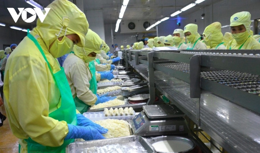 Vietnamese shrimp maintain high prices in Q4 amid favorable market conditions