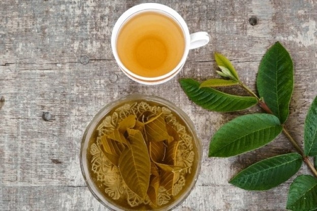 loai la nhieu nguoi do bo, phoi kho, pha tra lai thanh nuoc than cuc bo duong hinh anh 1