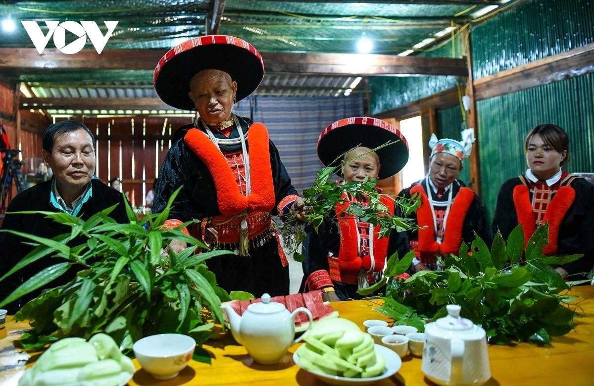 vietnam moves toward 2030 sdgs with strong progress in poverty reduction picture 2