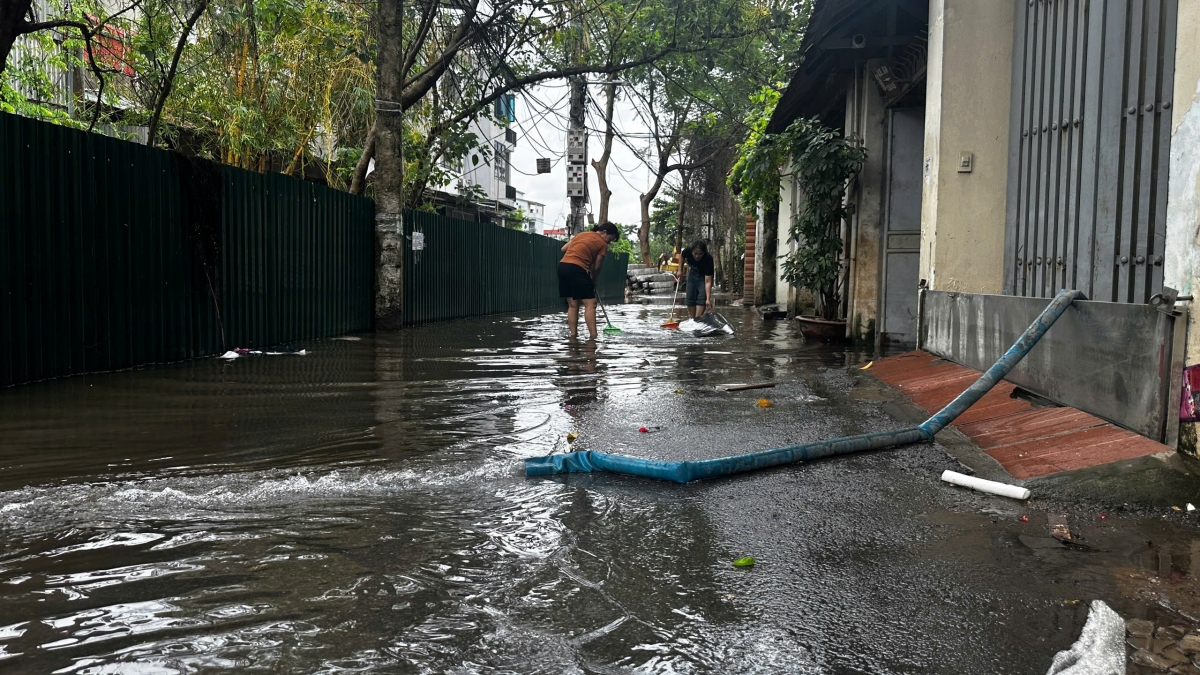 Ung ngap 1 dem, dan ngo 39 tu lien thieu ca nuoc sach danh rang hinh anh 10