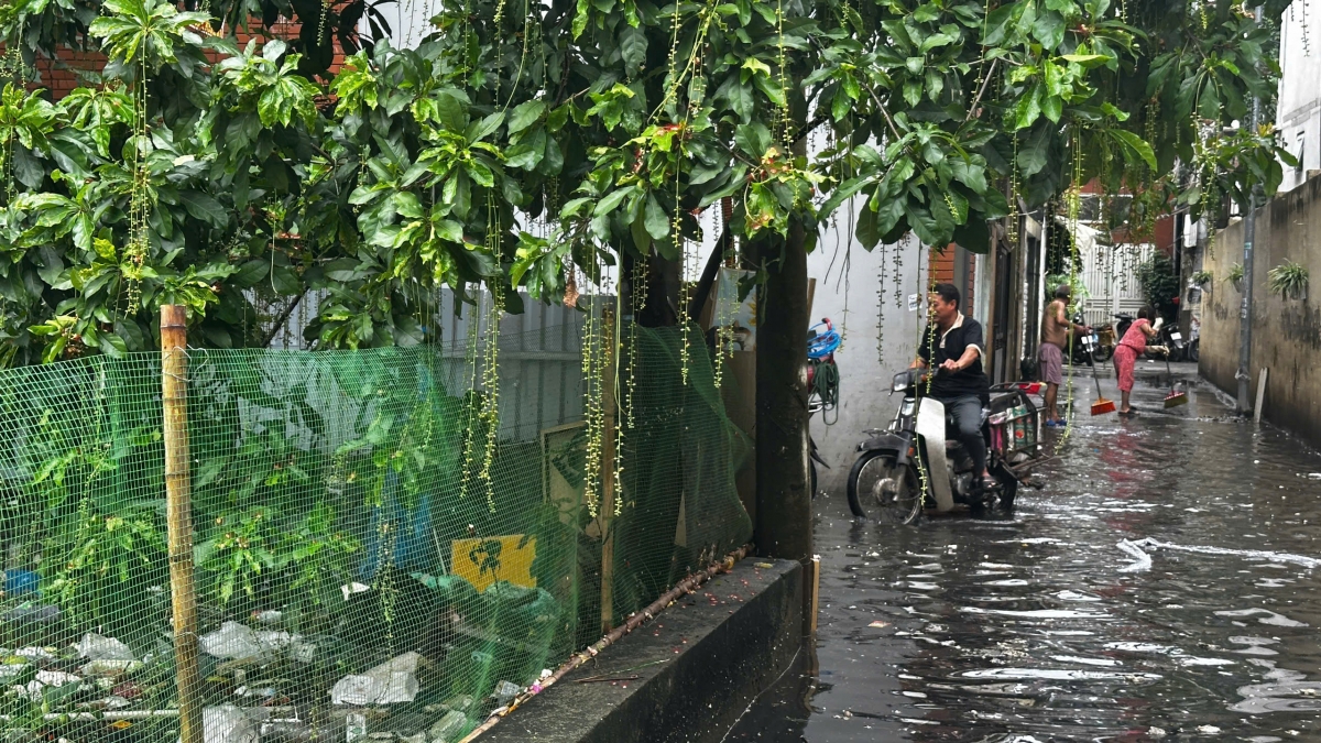 Ung ngap 1 dem, dan ngo 39 tu lien thieu ca nuoc sach danh rang hinh anh 1