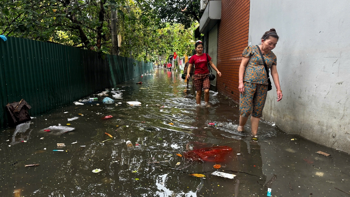 Ung ngap 1 dem, dan ngo 39 tu lien thieu ca nuoc sach danh rang hinh anh 8