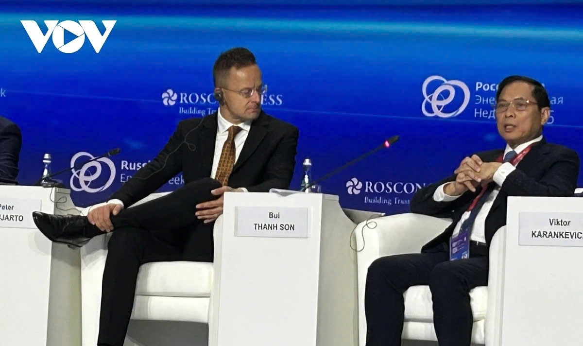 vietnam calls for international energy cooperation amidst global volatility picture 1 vietnam calls for international energy cooperation amidst global volatility picture 1
