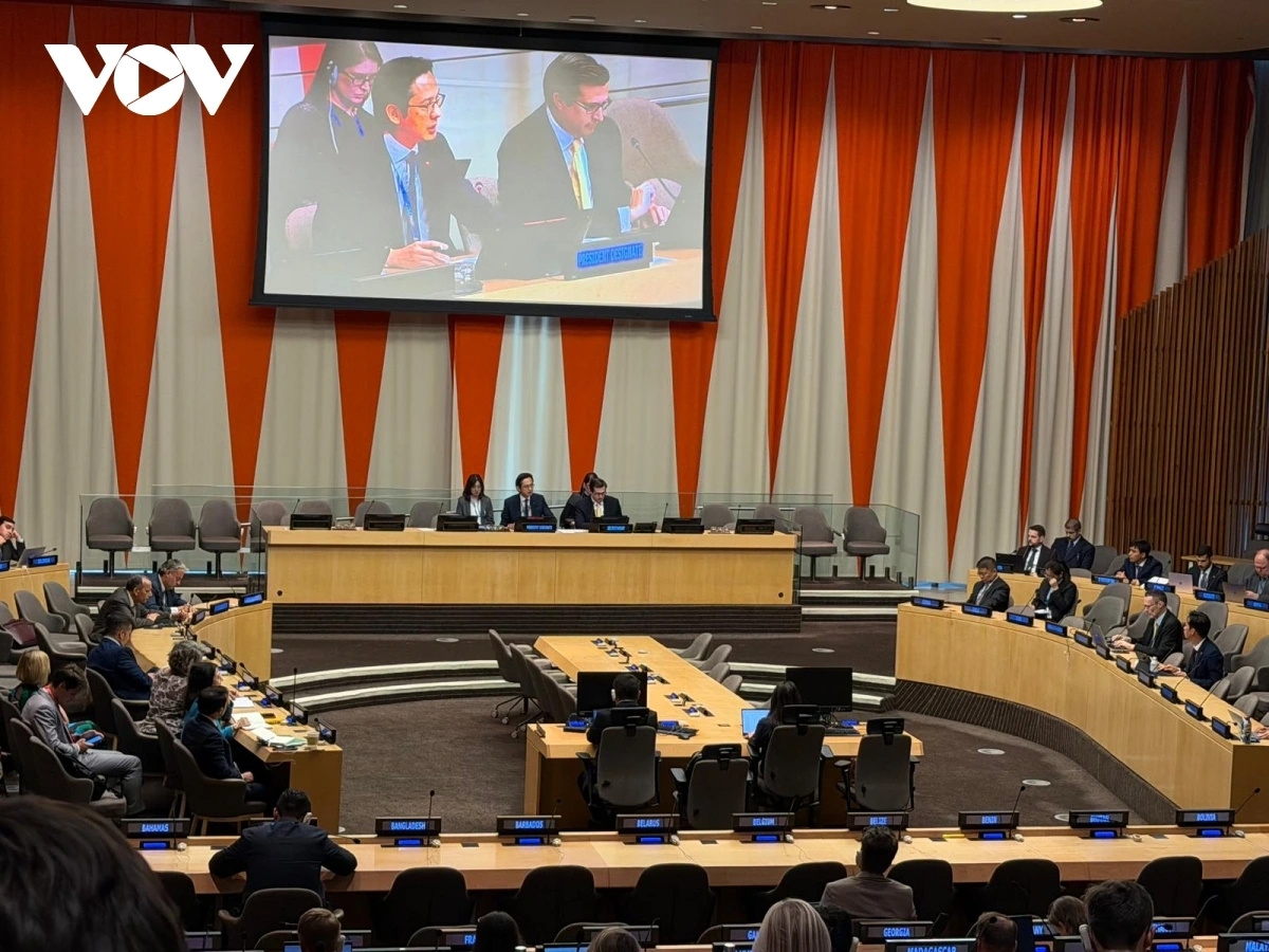 vietnam chairs un consultation on nuclear non-proliferation treaty picture 1