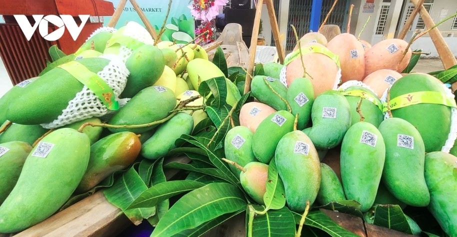 vietnam climbs to fourth place among taiwan s fruit and vegetable suppliers picture 1 vietnam climbs to fourth place among taiwan s fruit and vegetable suppliers picture 1