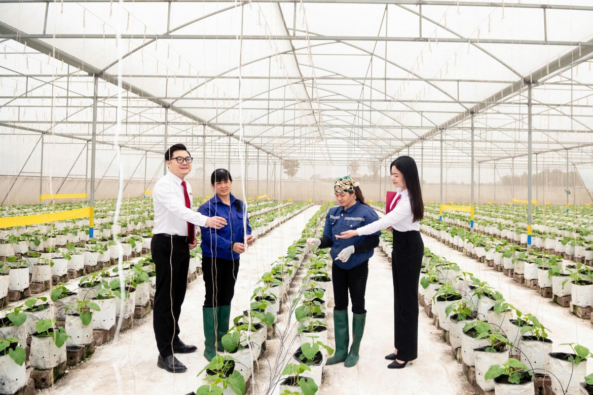 agribank day manh to chuc mang luoi tang cuong du dia cho phat trien tam nong hinh anh 5