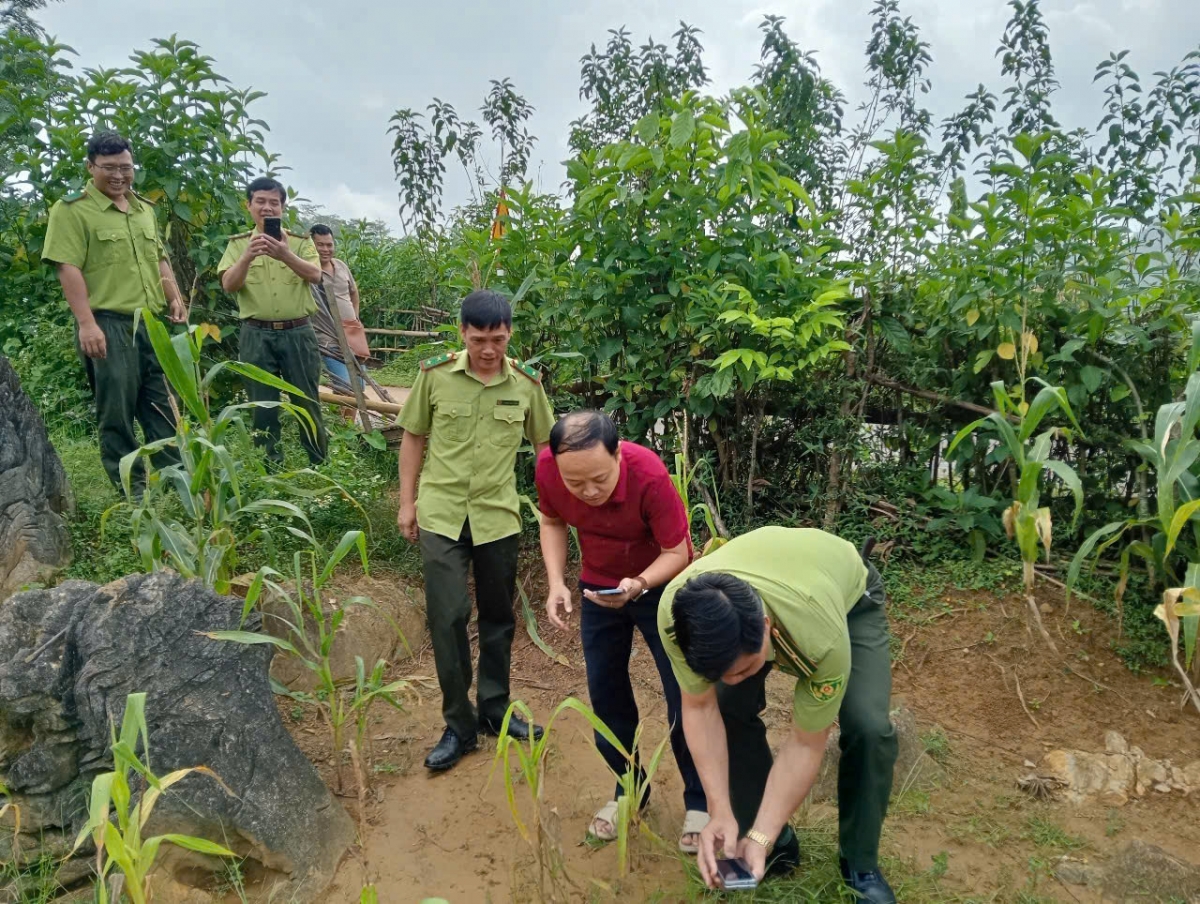 Thực hư thông tin hổ xuất hiện ở Khu Bảo tồn thiên nhiên Ngọc Sơn, Ngổ Luông