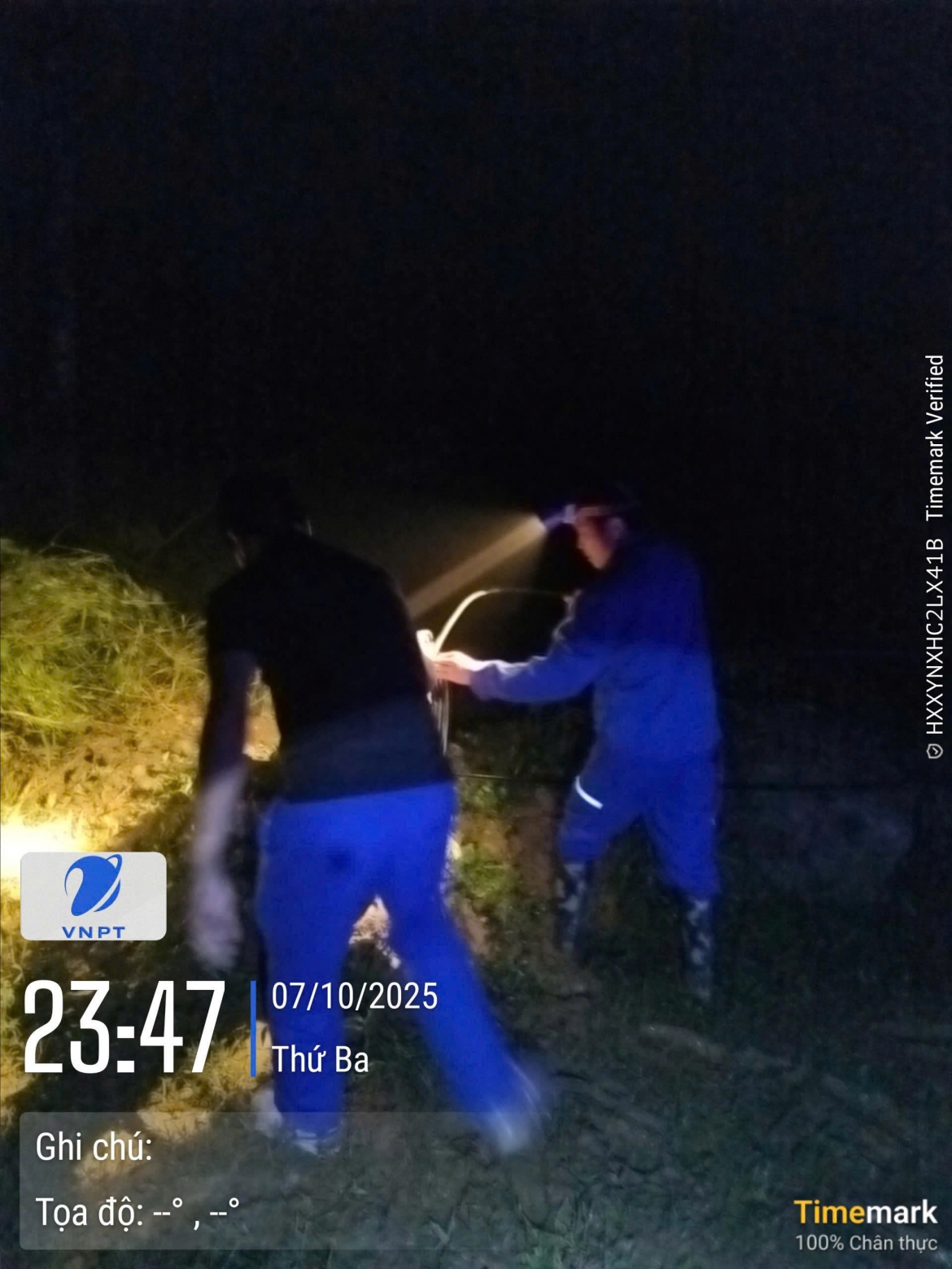 mang luoi va dich vu cua vnpt tai cac tinh dam bao phuc vu chinh quyen, nguoi dan hinh anh 1