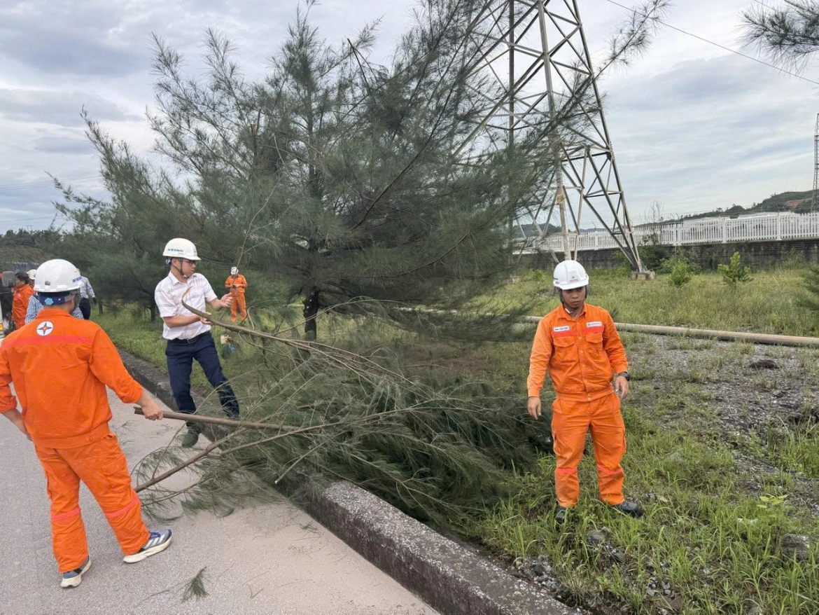 cong ty nhiet dien mong duong dam bao van hanh on dinh trong mua mua bao hinh anh 1