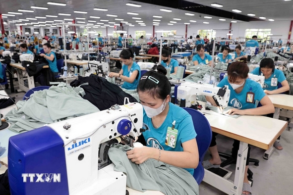 Vietnam – Algeria: New drivers for bilateral trade relations