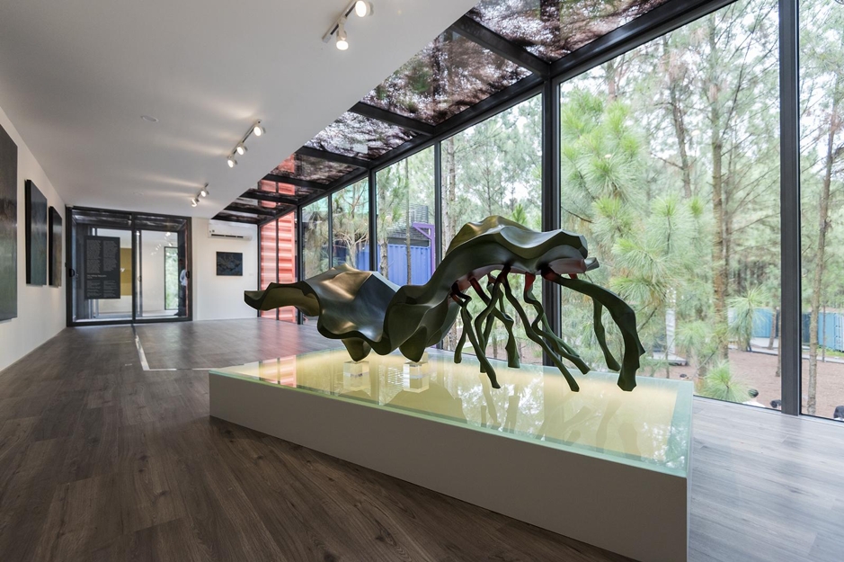 Dự án nghệ thuật Art In The Forest kỷ niệm chặng đường 10 năm