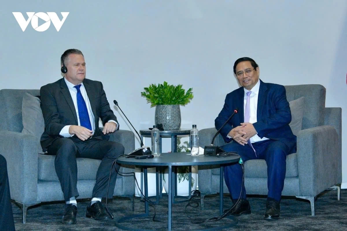pm pham minh chinh s working trip to south africa in the spotlight picture 3