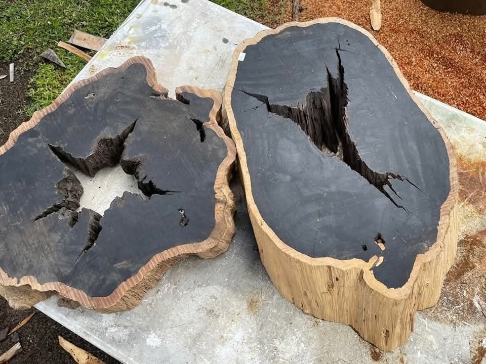 Chiêm ngưỡng loại gỗ quý hiếm bậc nhất thế giới, 300 triệu đồng/kg