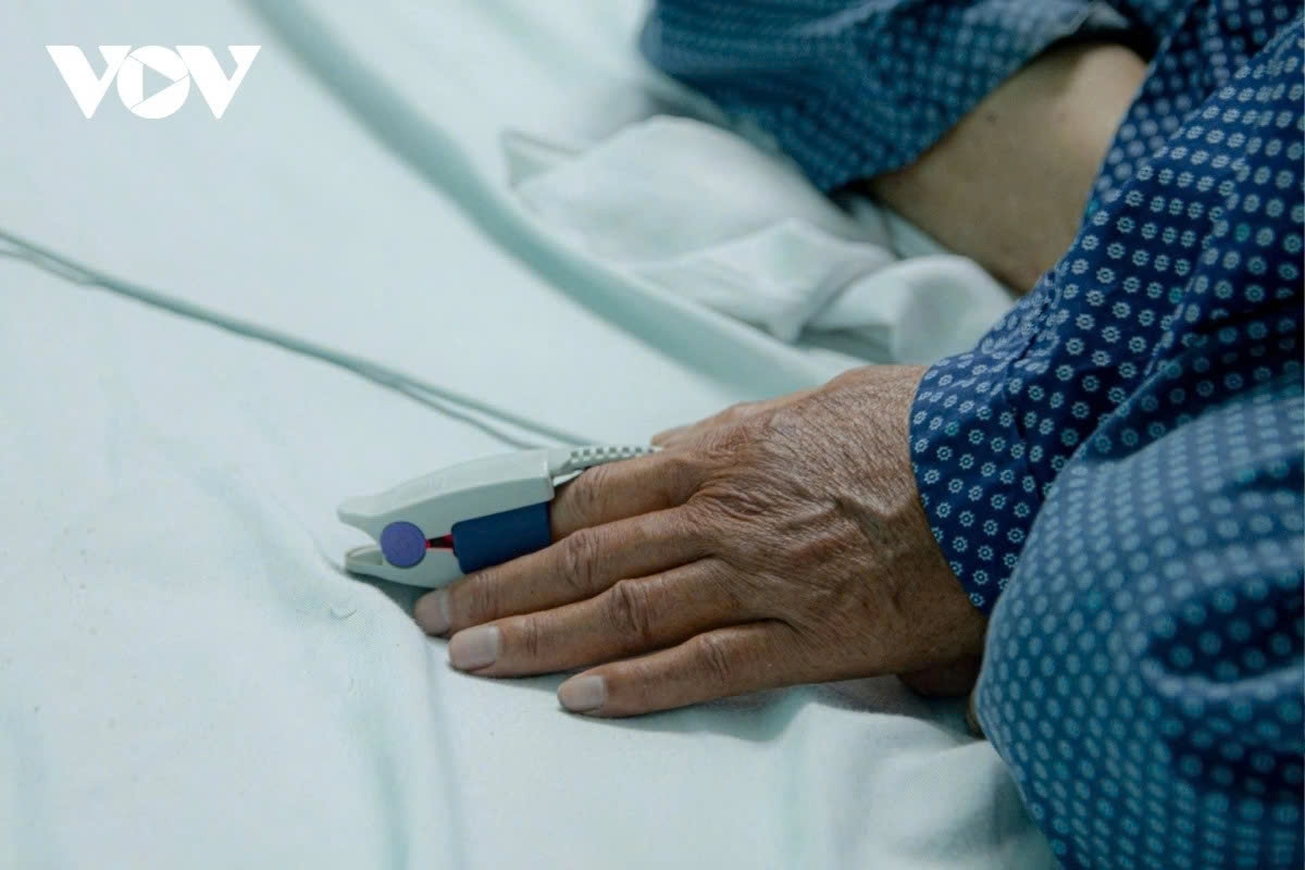 inside a hanoi hospital ward for severe influenza a cases picture 5