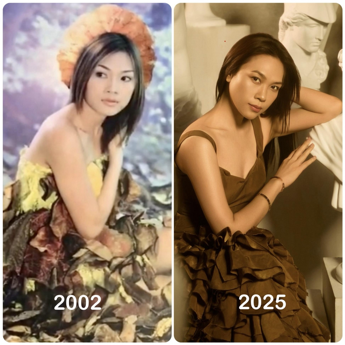 sao viet 20 11 my tam khoe nhan sac 23 nam truoc hinh anh 1