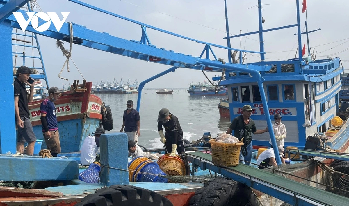 vietnam steps up anti-iuu efforts, determined to lift eu yellow card picture 1