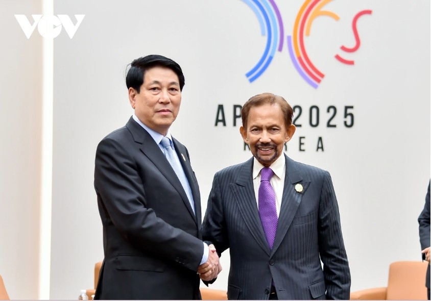 vietnam, brunei look to closer cooperation during sultan s state visit picture 1