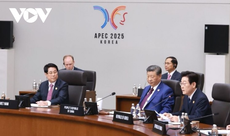 vietnam proposes five cooperation orientations at apec economic leaders meeting picture 2 vietnam proposes five cooperation orientations at apec economic leaders meeting picture 2