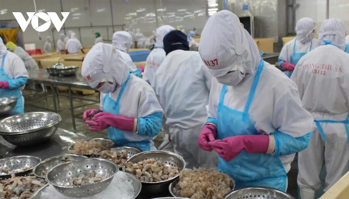 vietnam and bulgaria expand business links and trade exchanges picture 1