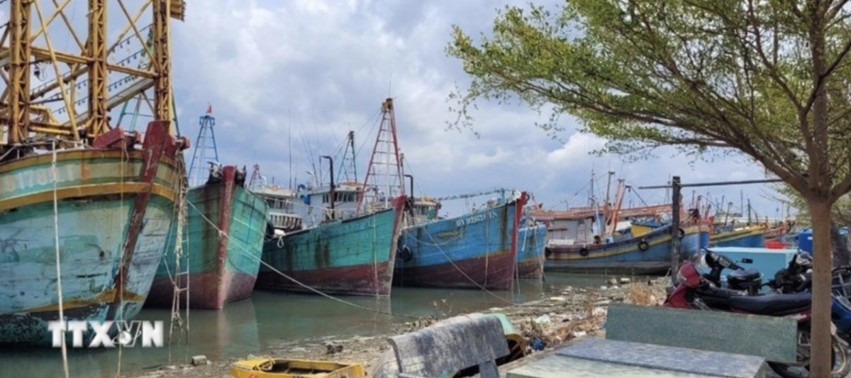 ho chi minh city steps up crackdown on iuu fishing violations picture 1