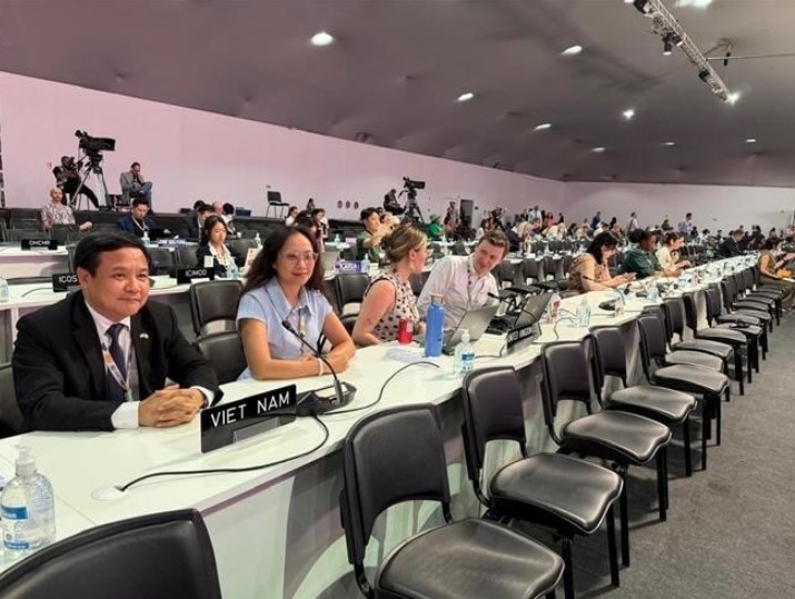 vietnam participates in parliamentary meeting at cop30 picture 1