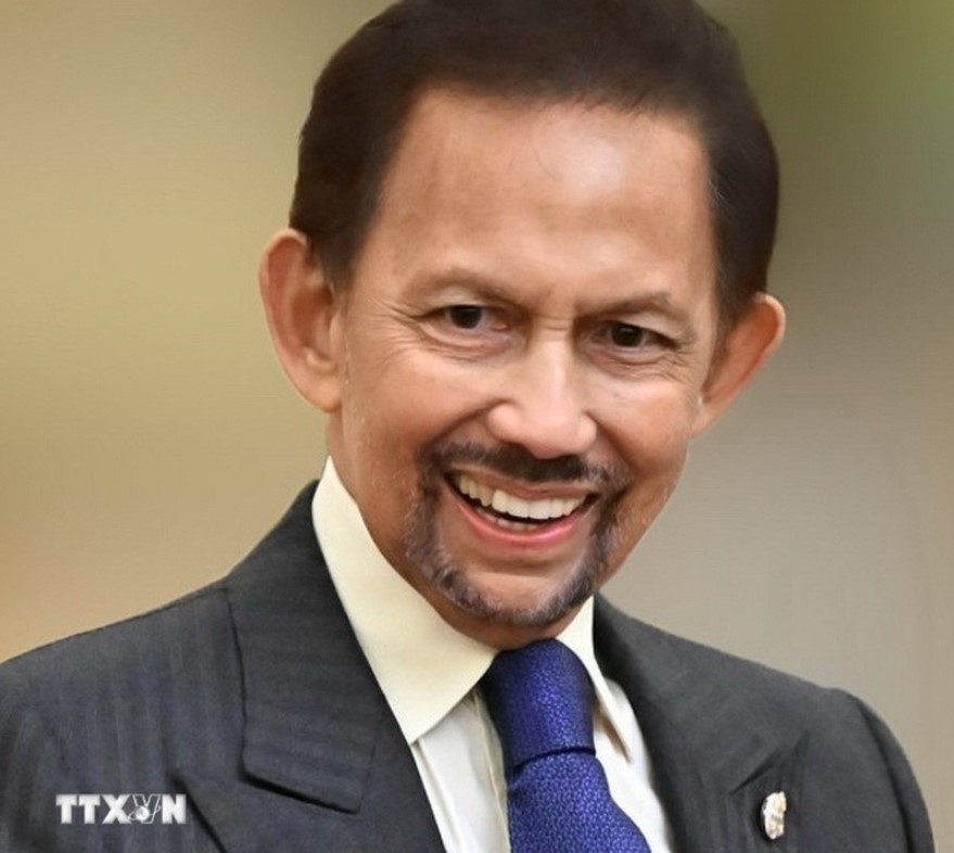 sultan s visit demonstrates brunei s high regard for vietnam ambassador picture 1