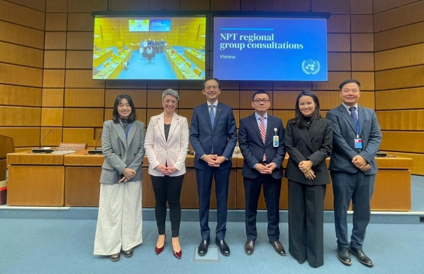 vietnam consults on nuclear non proliferation treaty review conference picture 1