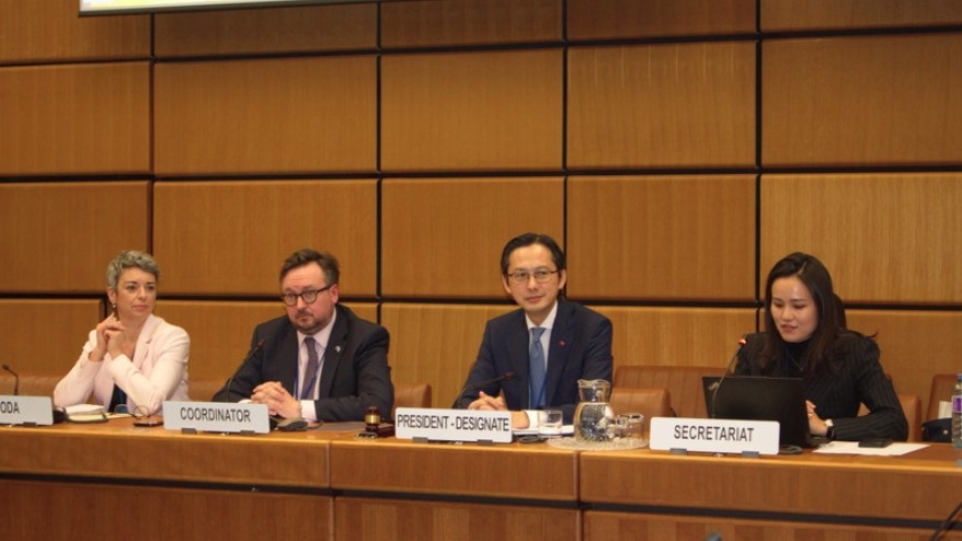 vietnam holds regional group consultations on npt revcon 11 in vienna picture 1