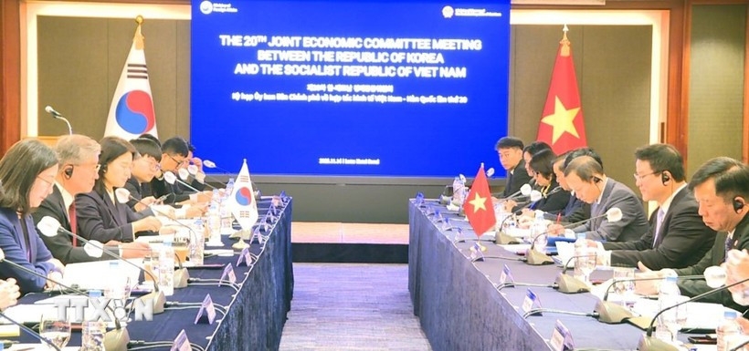 vietnam, rok seek new drivers to advance comprehensive cooperation picture 1