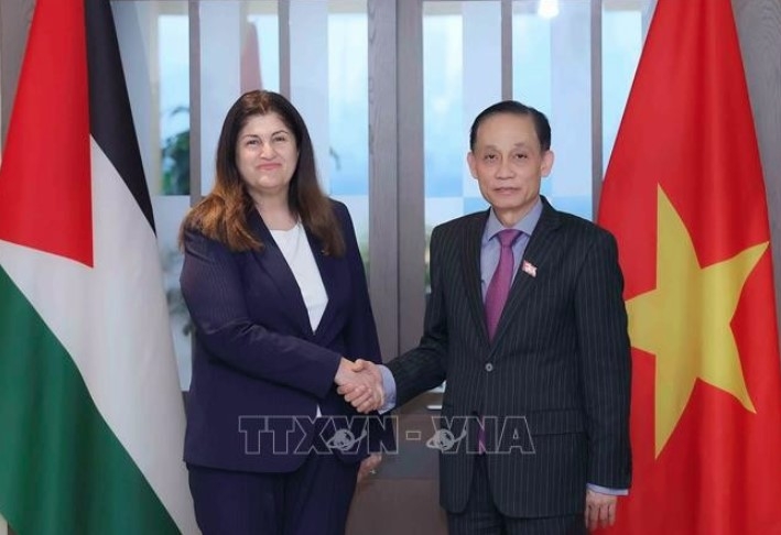 vietnamese minister of foreign affairs holds talks with palestinian counterpart picture 1