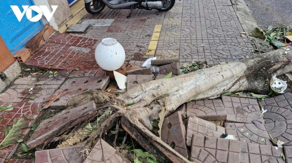 quy nhon streets in gia lai left in ruins after typhoon kalmaegi picture 4