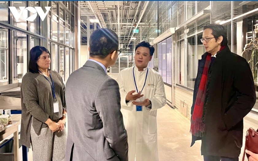 vietnam consults on nuclear non proliferation treaty review conference picture 2