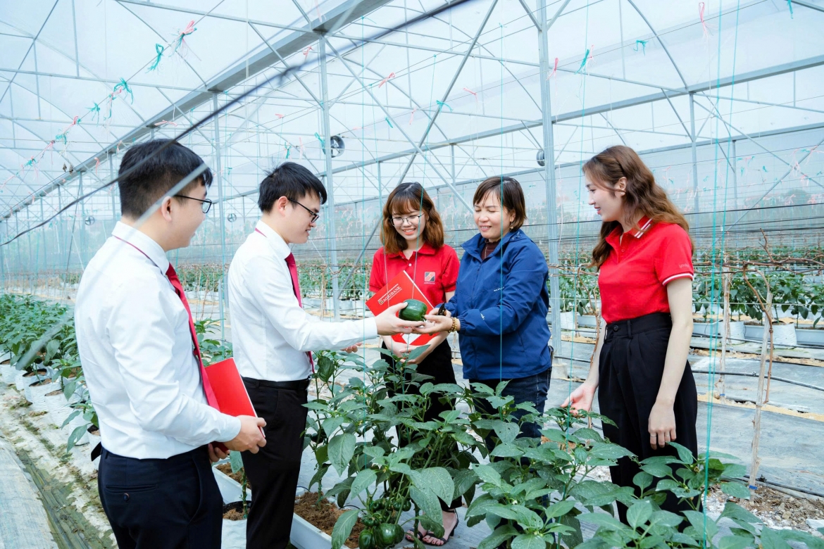 agribank voi trach nhiem esg toan dien, tu von xanh den an sinh cong dong hinh anh 1