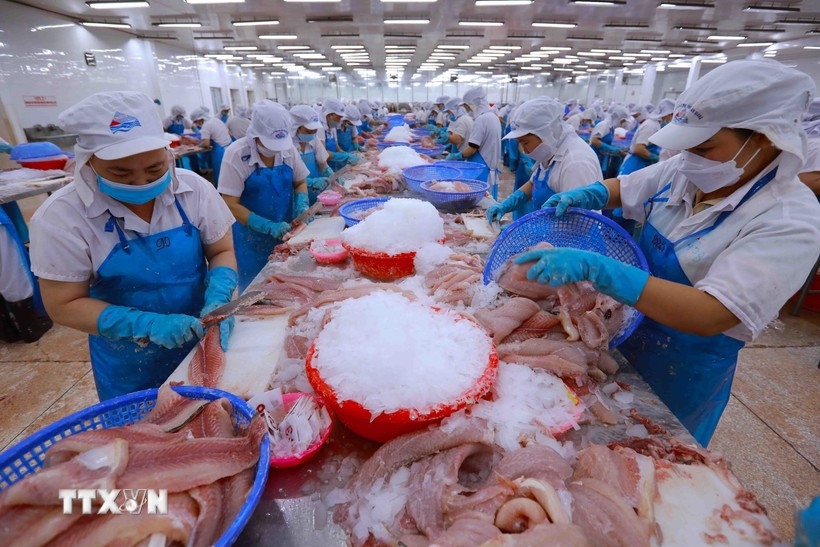 workshop seeks to boost agro-forestry-aquatic exports to eu picture 1