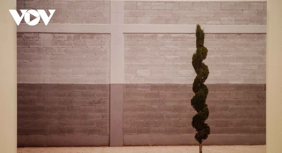 belgian photographer opens first solo show the state of things in hanoi picture 3