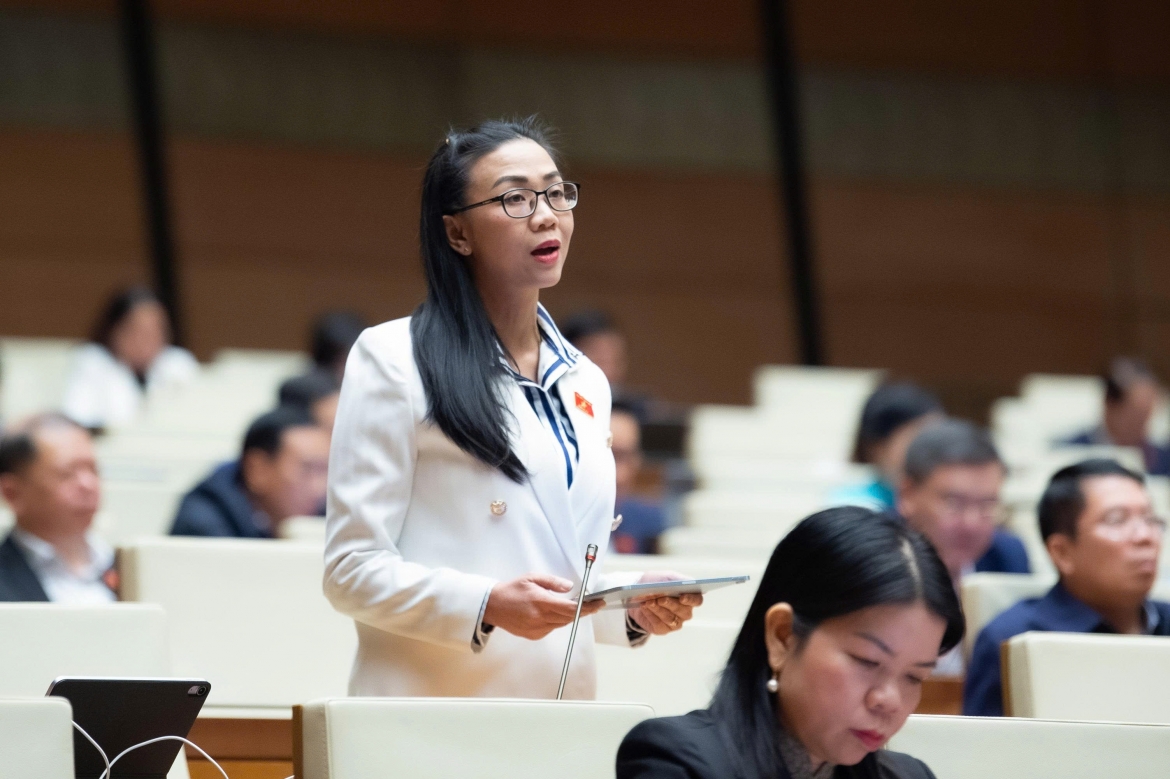 Dai bieu quoc hoi de nghi cac nen tang so phai chia se doanh thu voi bao chi hinh anh 3