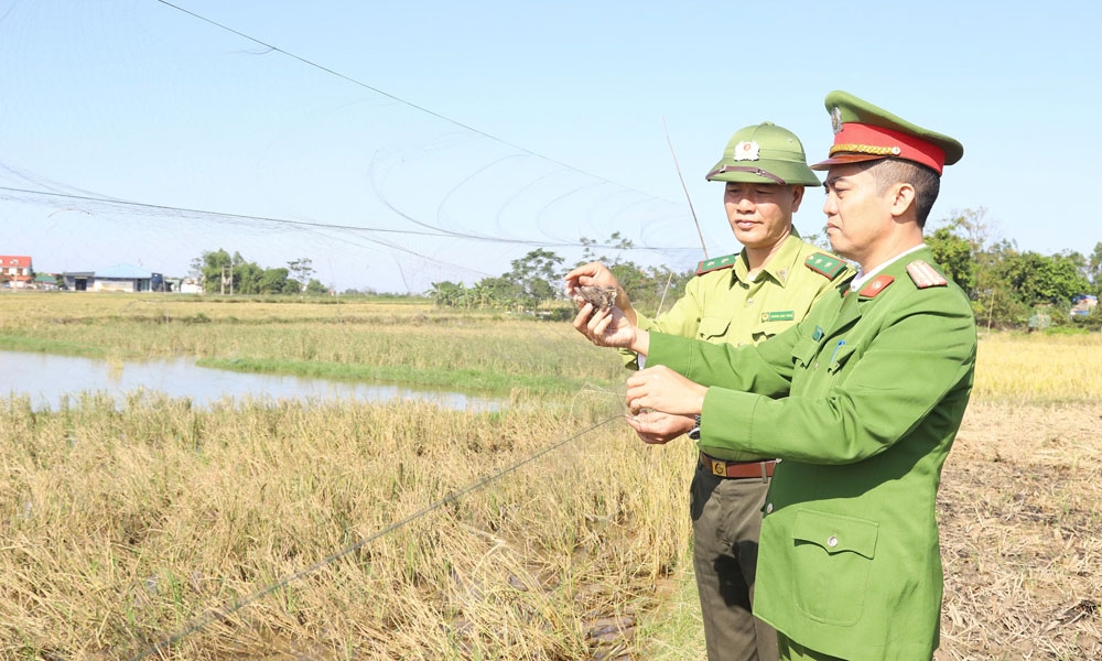 bac ninh ngan chan tinh trang san bat chim hoang da hinh anh 1