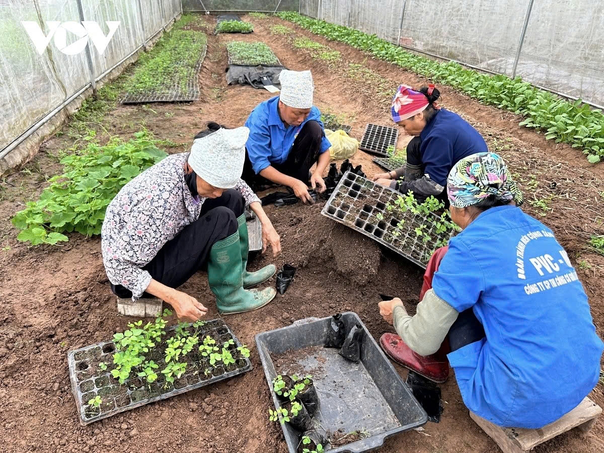 circular economy - a strategic path for sustainable agriculture in vietnam picture 2