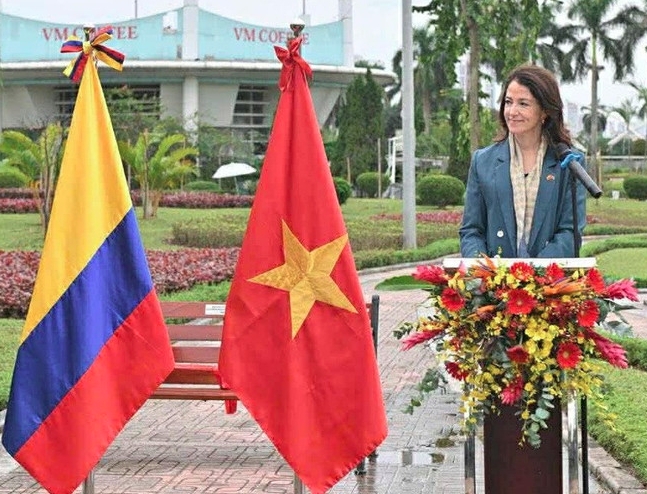 colombia presents 25 monkeypod trees to hanoi picture 2