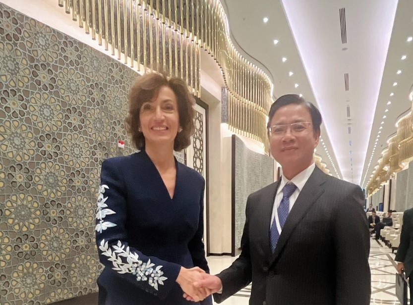 vietnam re-elected vice chair of 43rd unesco general conference picture 3