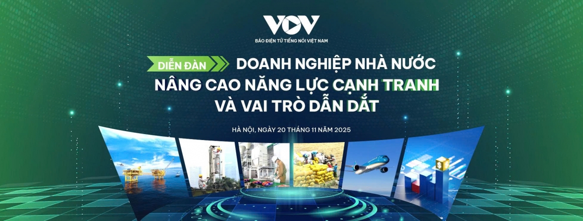 dien dan ban giai phap nang cao nang luc canh tranh va vai tro dan dat cua dnnn hinh anh 1