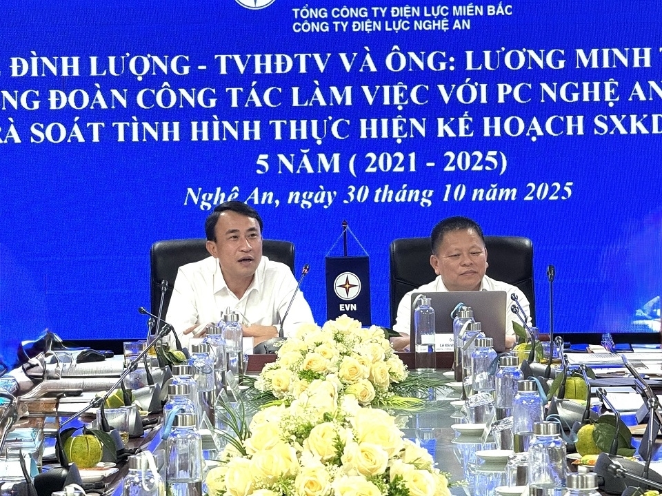 evnnpc no luc ve dich toan dien, huong toi giai doan phat trien moi hinh anh 3