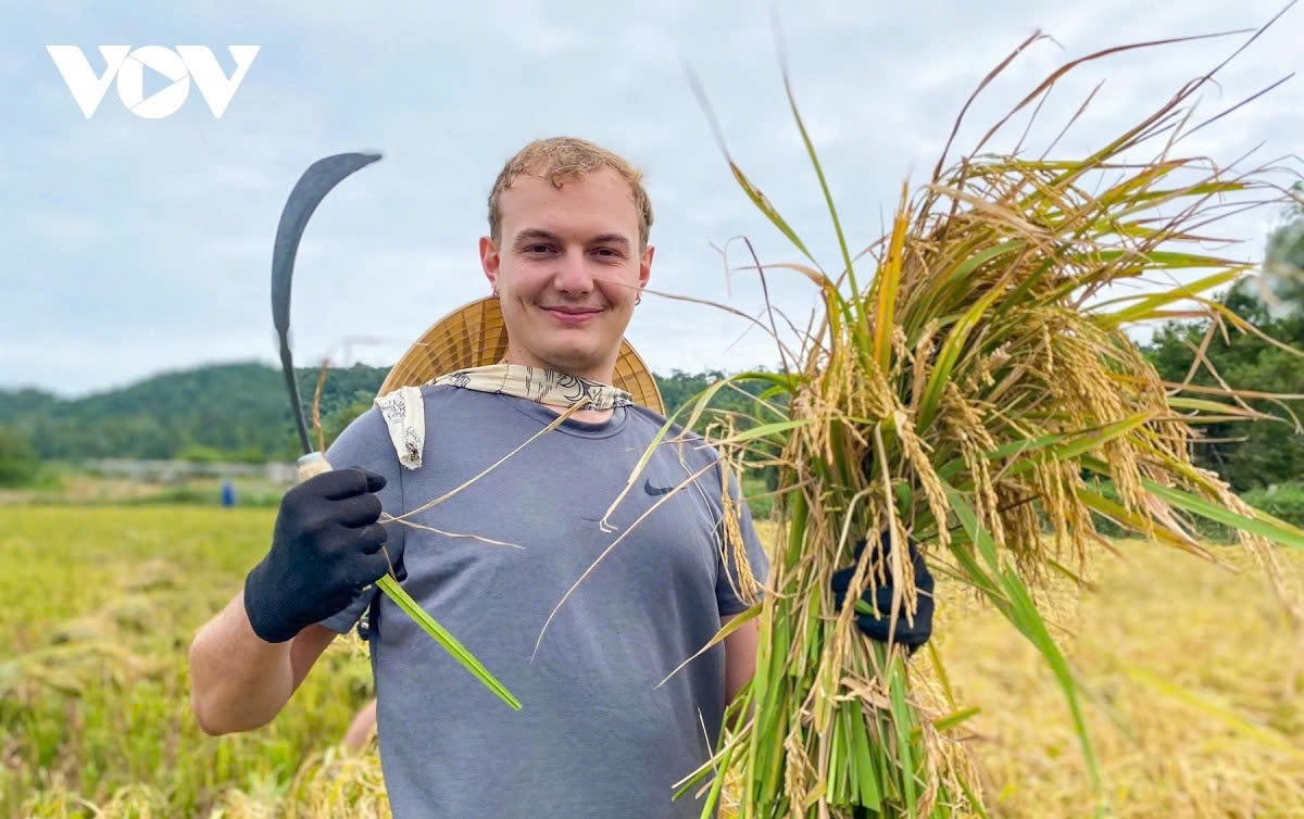when foreign tourists experience life as farmers in vietnam picture 1