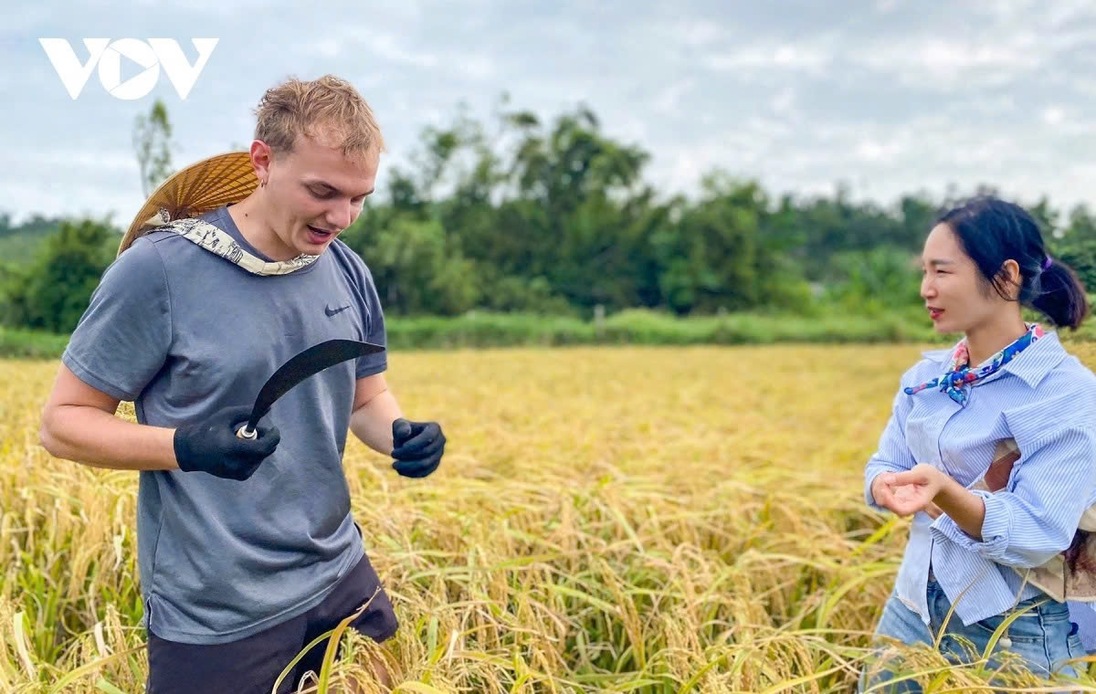 when foreign tourists experience life as farmers in vietnam picture 3
