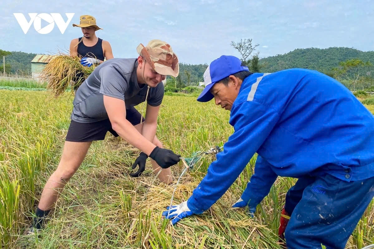 when foreign tourists experience life as farmers in vietnam picture 7