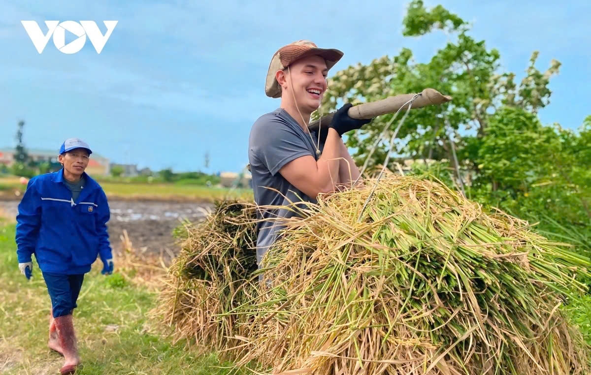 when foreign tourists experience life as farmers in vietnam picture 9