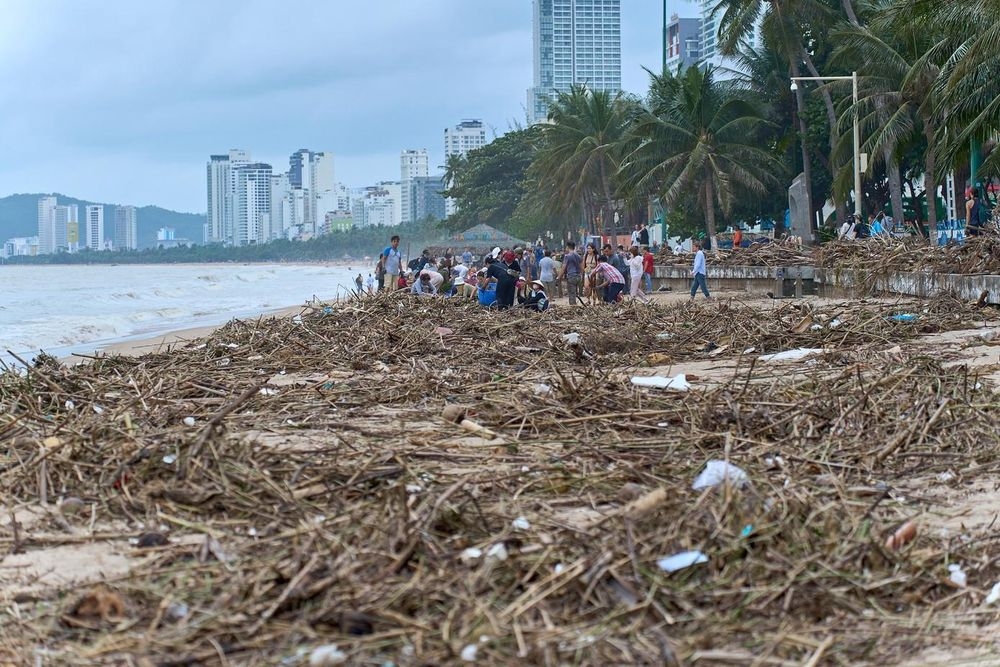 foreign visitors join beach clean-ups, assist in rescue efforts in nha trang picture 1